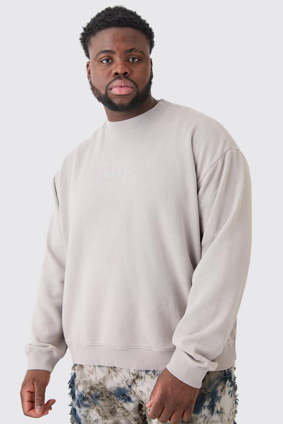 Light grey Plus Limited Oversize sweatshirt med tvättad effekt image number 1