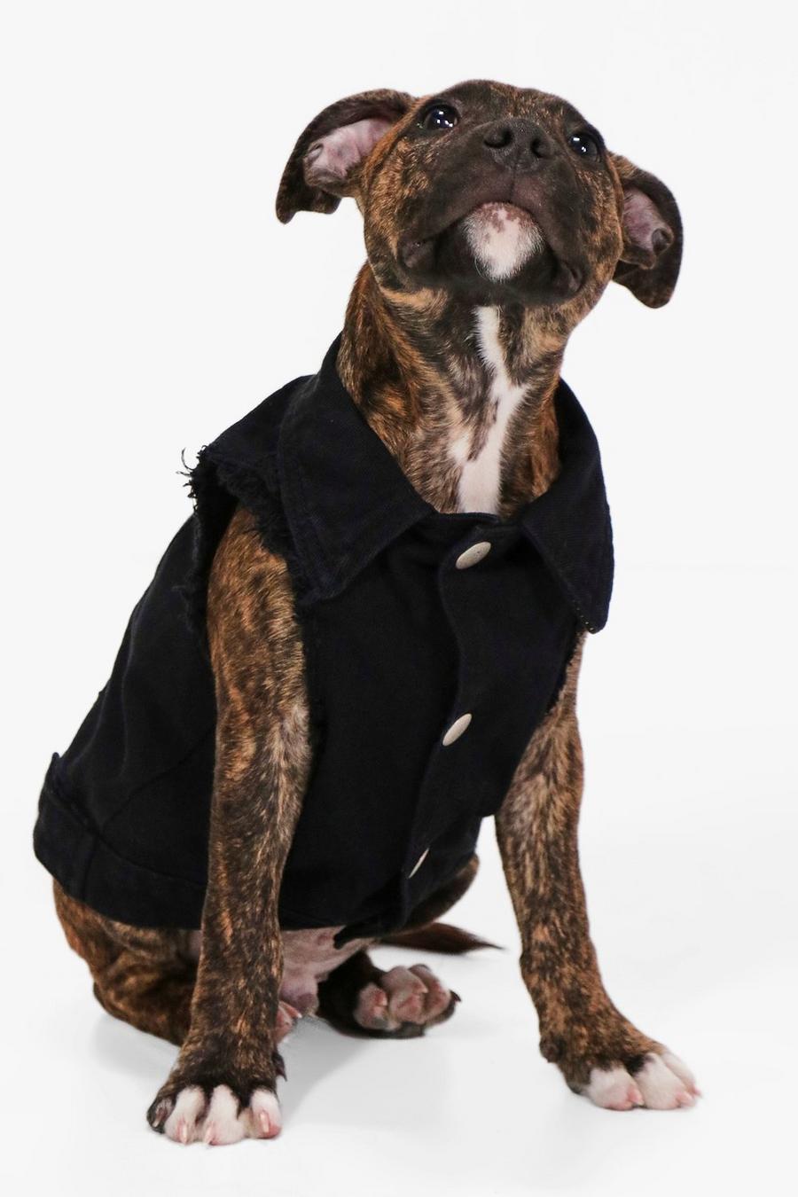 Veste en jean pour chien, Noir image number 1