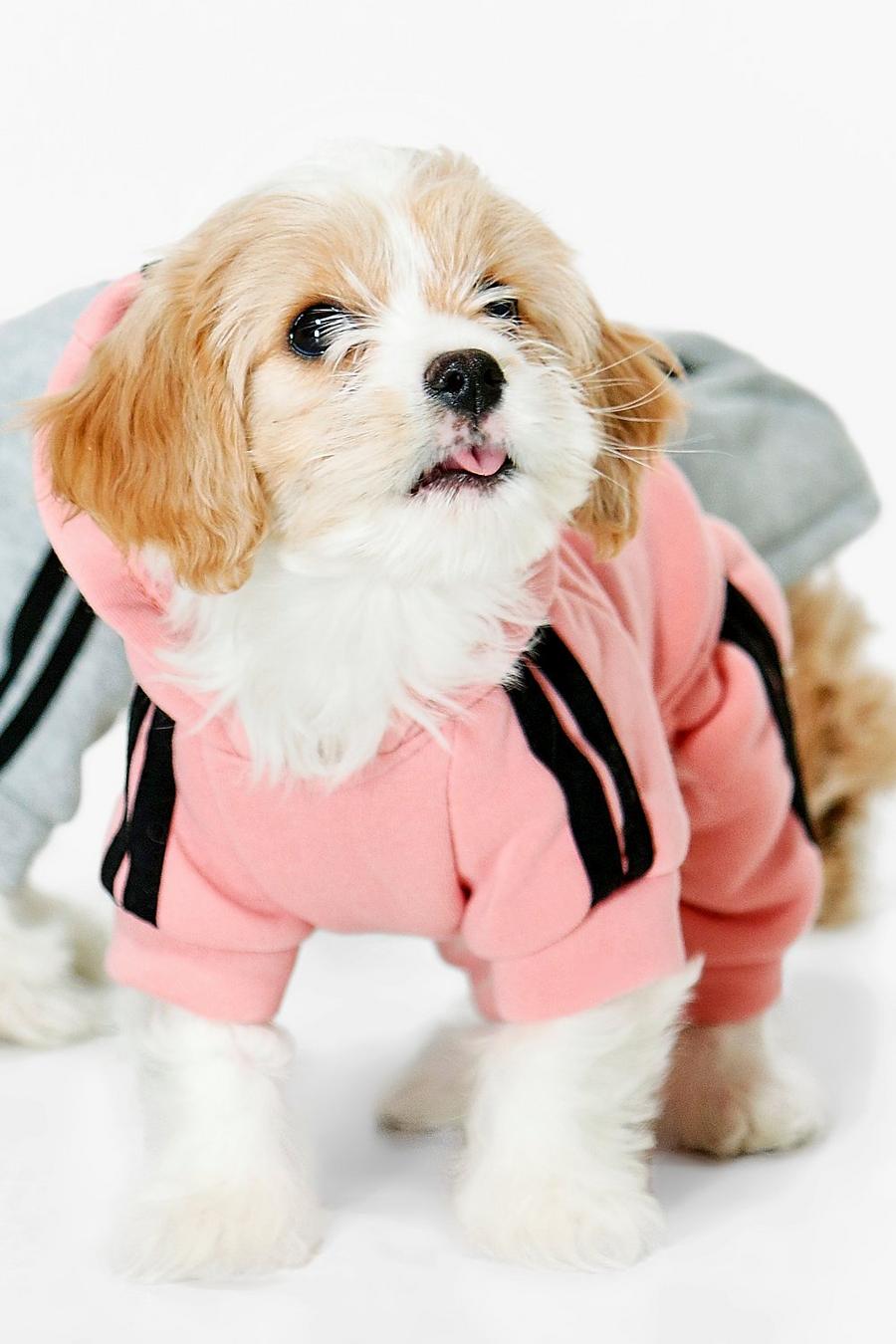 Pink Novelty Hooded Sports Dog Outfit image number 1