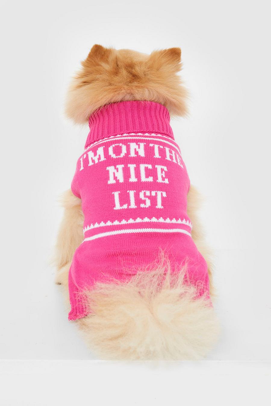 Pink Nice List Slogan Dog Christmas Jumper