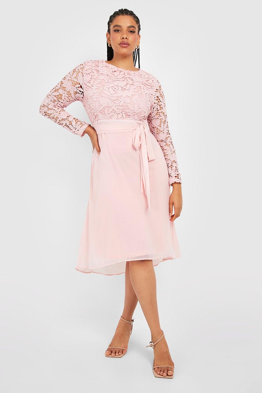 Blush Plus Occasion Lace Contrast Midi Dress