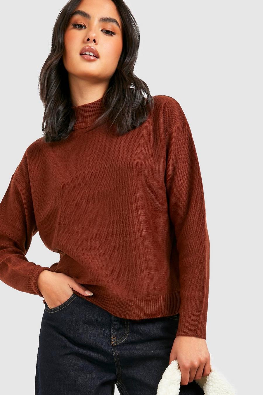 Brown Basic High Neck Boxy Sweater