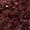 berry