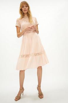 Coast blush Lace Bodice Pleat Skirt Midi Dress