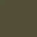 olive color