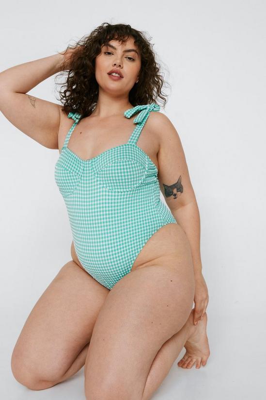 NastyGal Plus Size Textured Gingham Print Swimsuit 1