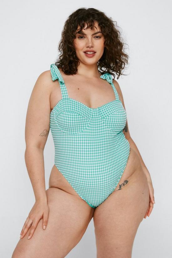 NastyGal Plus Size Textured Gingham Print Swimsuit 4