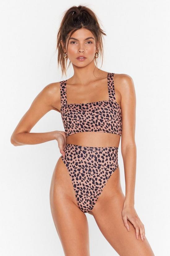 NastyGal Leopard Print Crop Top Bikini Set 2
