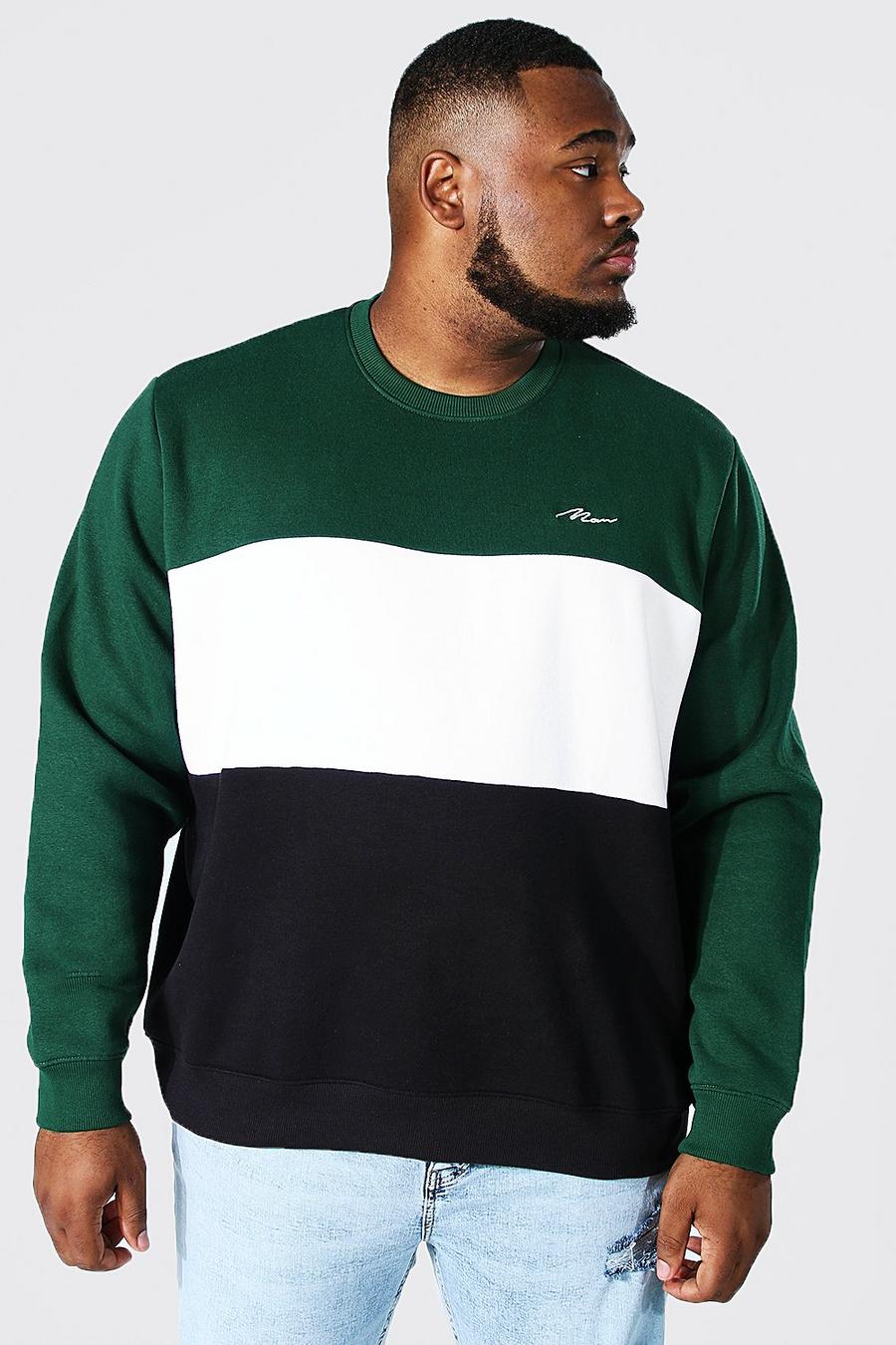 Plus Size Sweatshirt mit Colorblock und Man-Streifen, Dunkelgrün image number 1