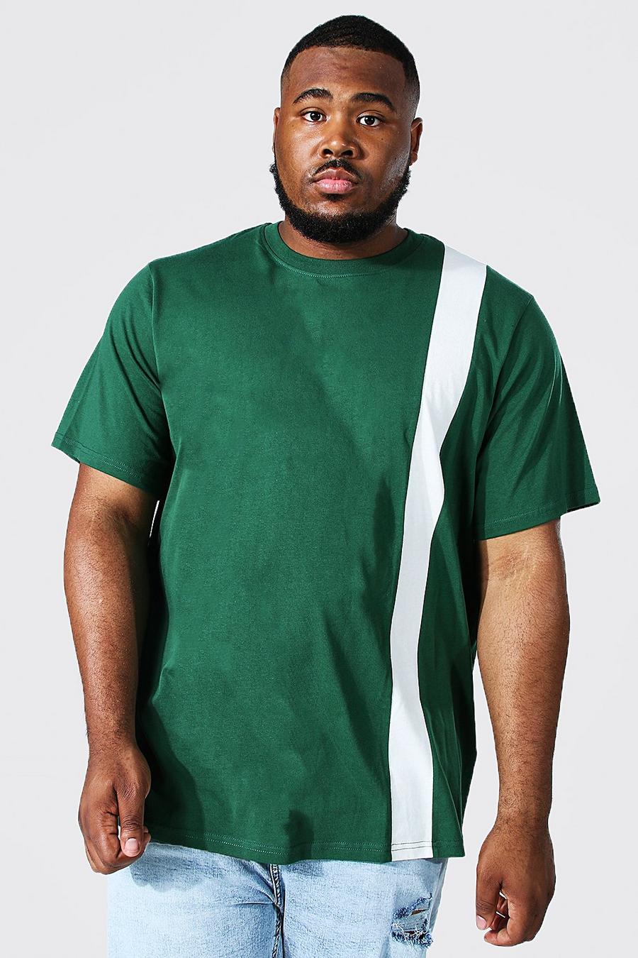 Plus Size T-Shirt mit Colorblock, Dunkelgrün green image number 1