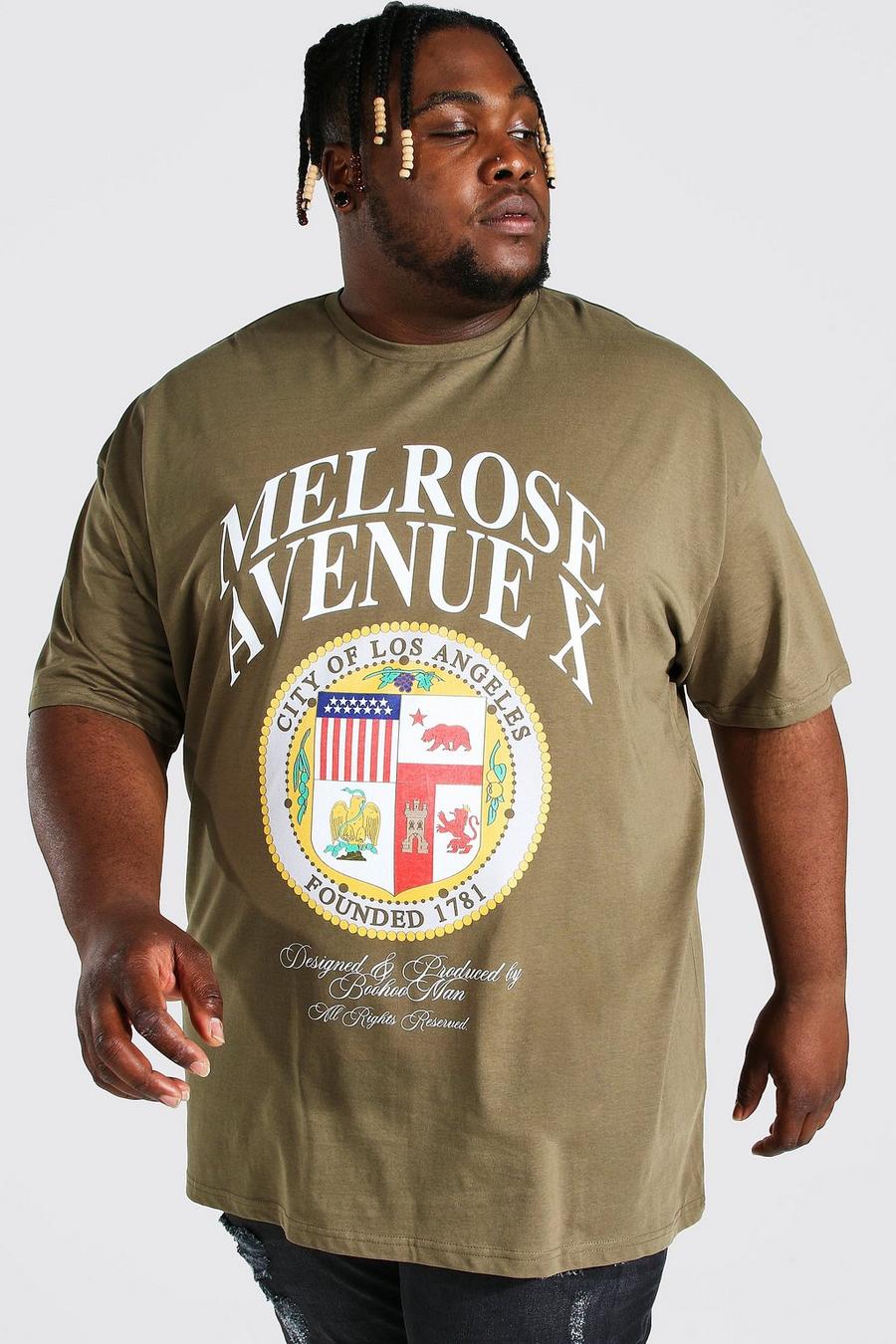Khaki kaki Plus Size Melrose Varsity T-Shirt image number 1