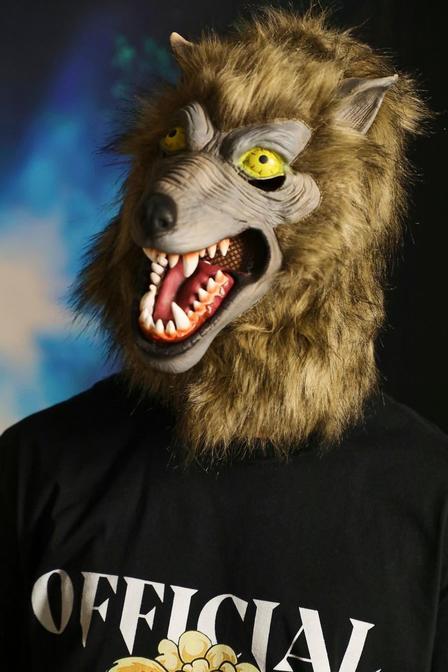 Grey Weerwolf Masker image number 1