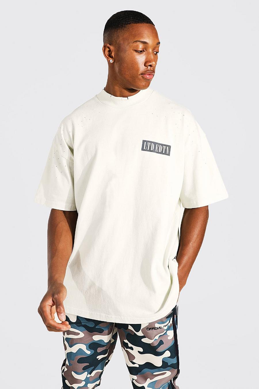 Light grey Ltd Oversize t-shirt med tryck bak image number 1