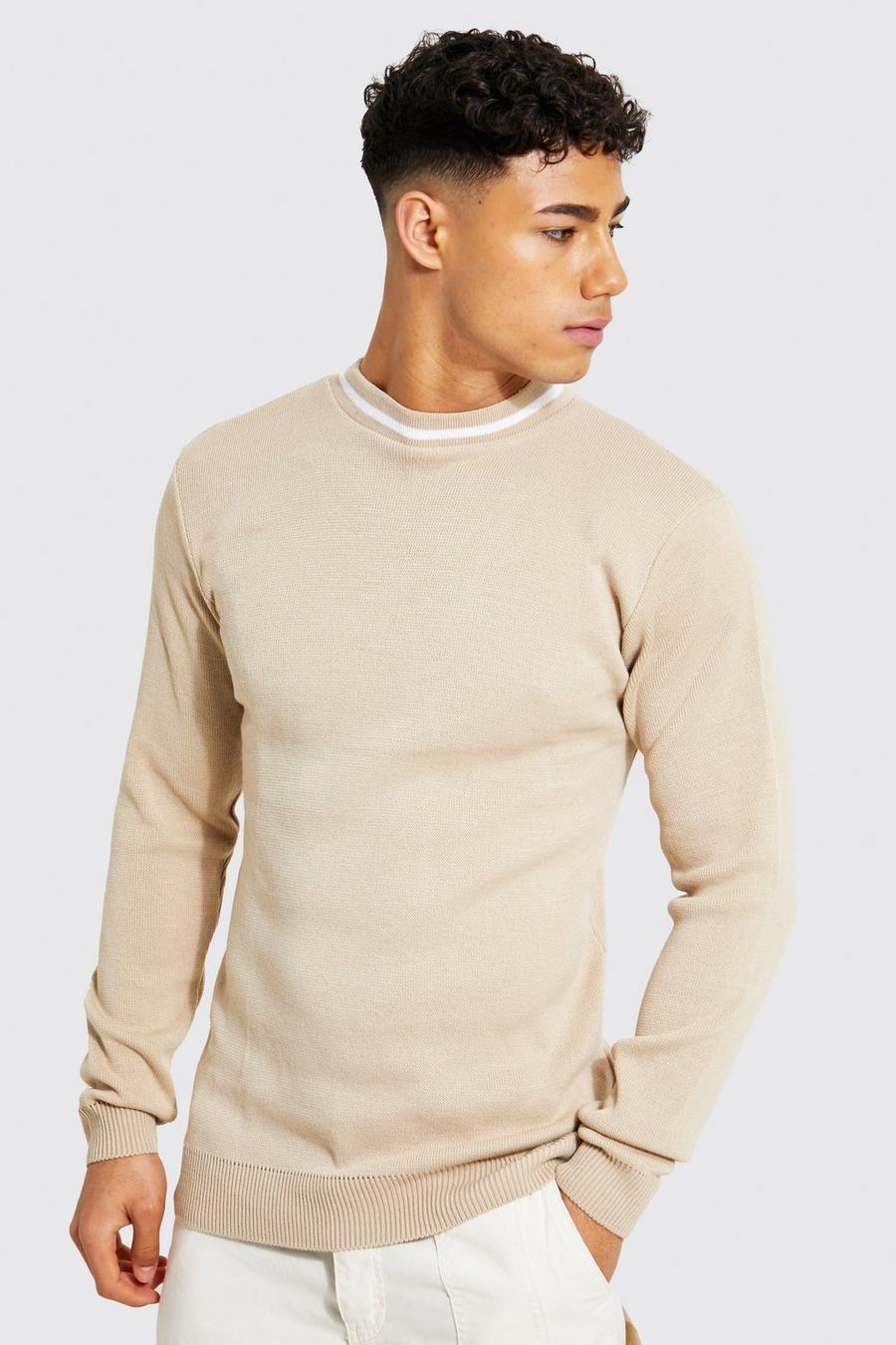 Stone beige Turtle Neck Muscle Fit Jumper With Stripes