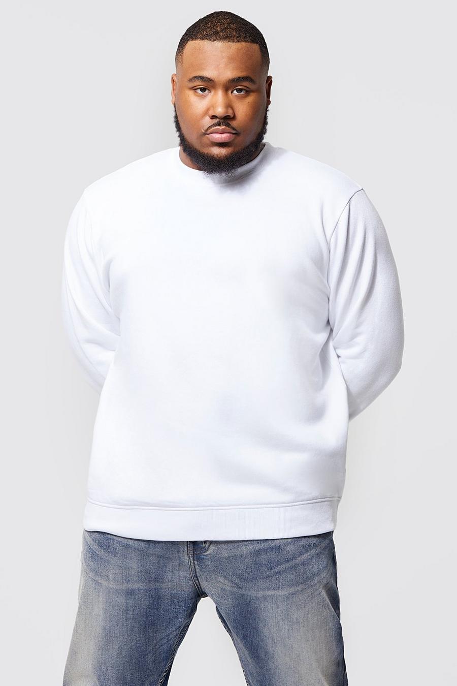 White Plus Regular Fit Sweater with REEL Cotton image number 1