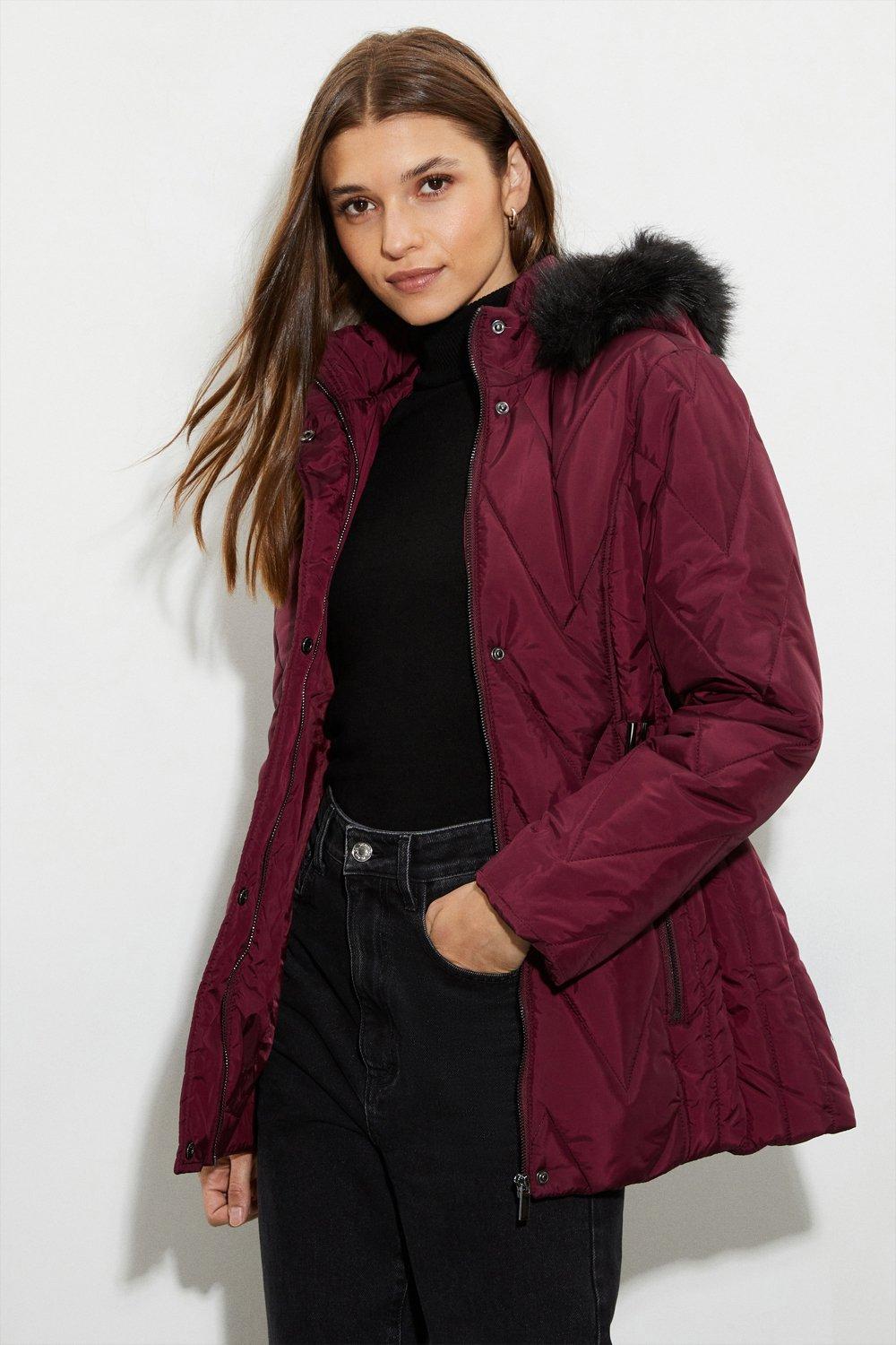 Jackets & Coats | Short Belted Quilted Padded Coat | Dorothy Perkins