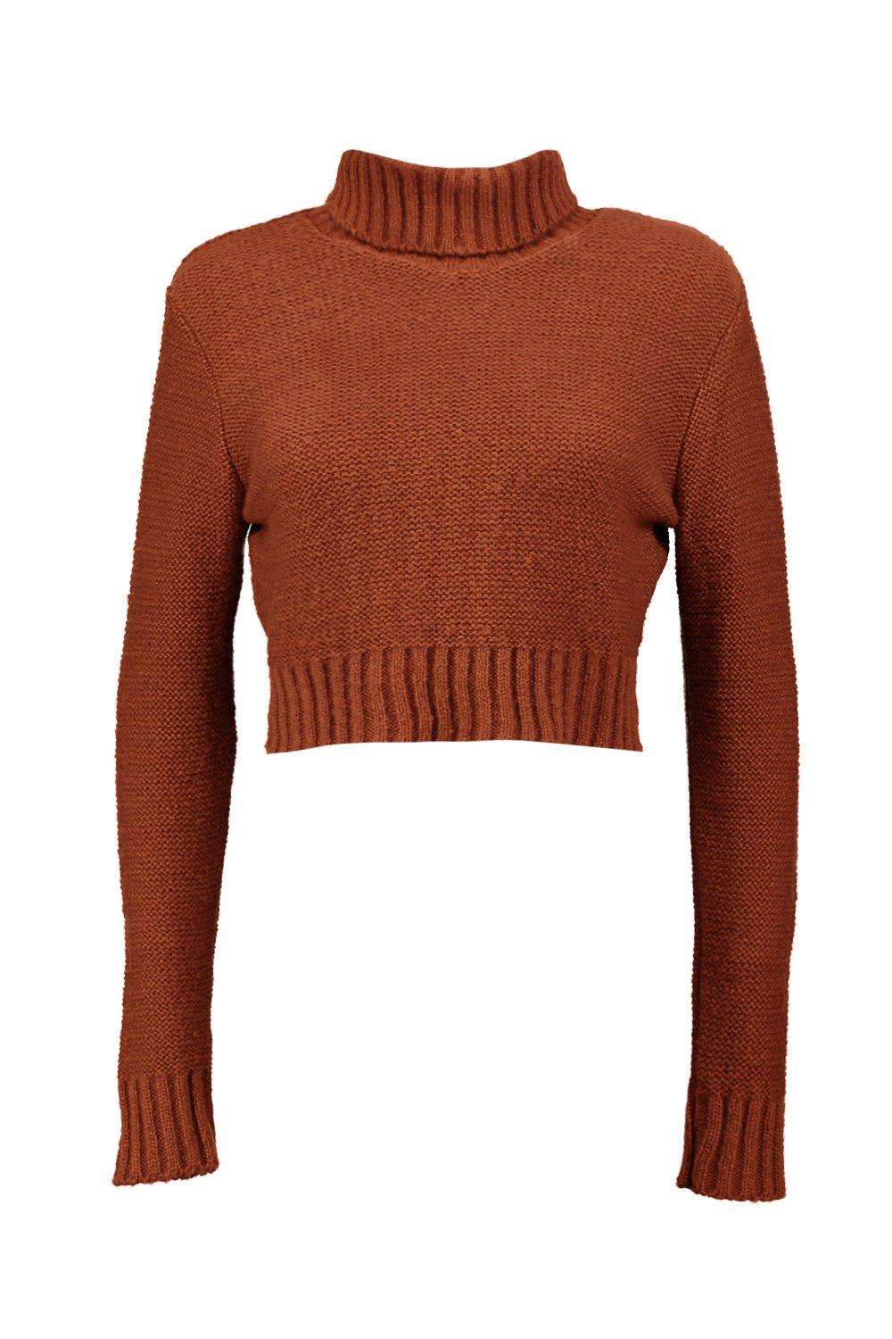 Turtle neck hotsell cropped jumper