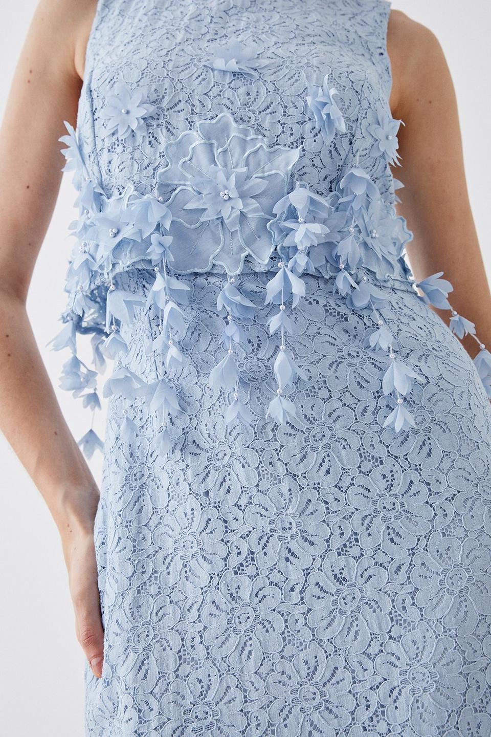 Dresses | Lace And 3d Floral Bodice Overlay Midi Dress | Coast