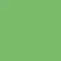 lime color