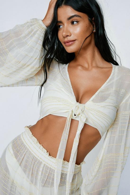 NastyGal Viscose Georgette Glitter Stripe Tie Front Cover Up Top 2