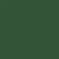 camo color