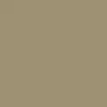 camo color