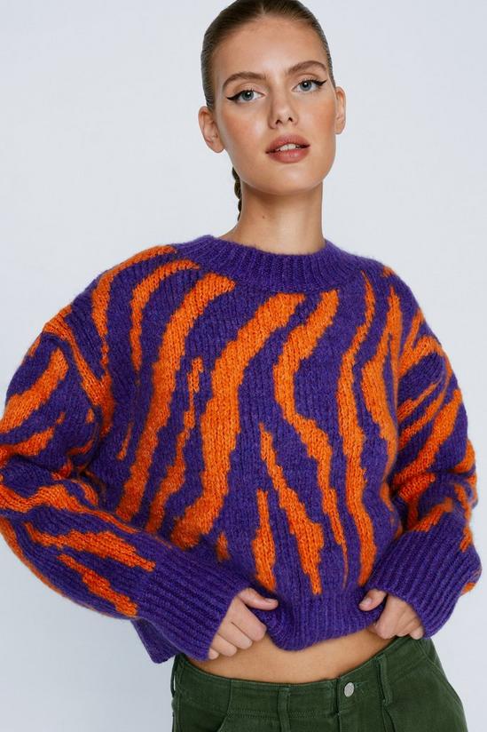 NastyGal Color Zebra Knitted Crop Sweater 1