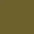 camo color