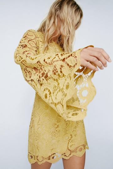 Lace Crew Neck Long Sleeve Mini Dress ochre