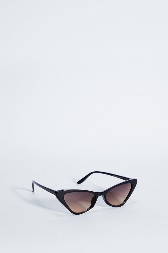 NastyGal Cat Eye Sunglasses 4
