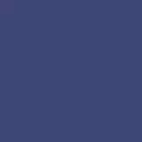 navy color