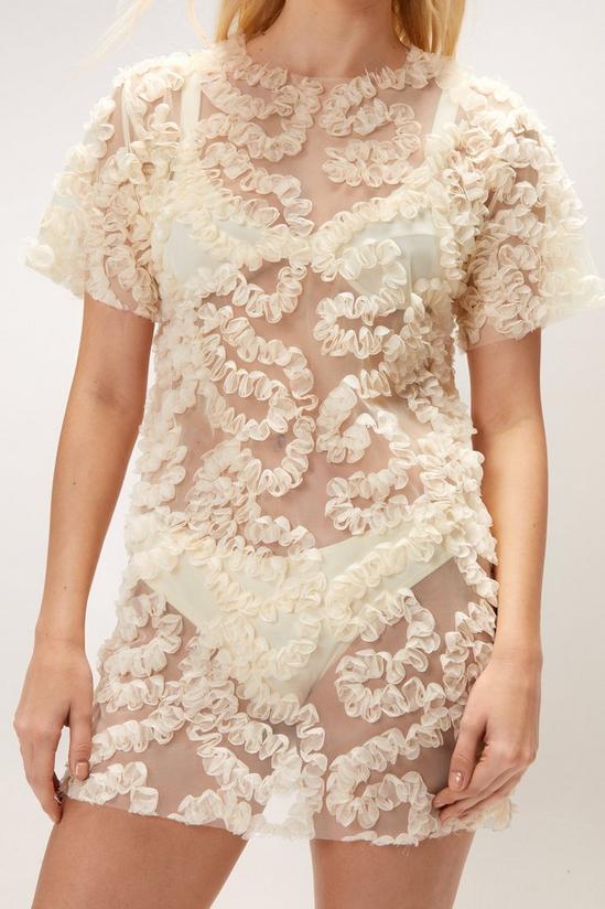 NastyGal Lace Embroidered Sheer Mini Dress 2
