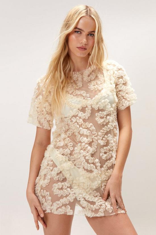 NastyGal Lace Embroidered Sheer Mini Dress 3