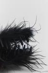 NastyGal Feather Hair Claw Clip thumbnail 4