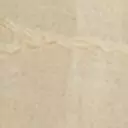 lemon color