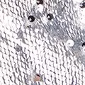 silver color