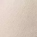 nude color