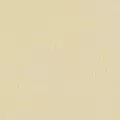 lemon color