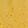 lemon color