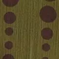 olive color
