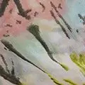 multi color