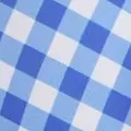 blue color