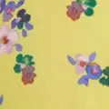 lemon color
