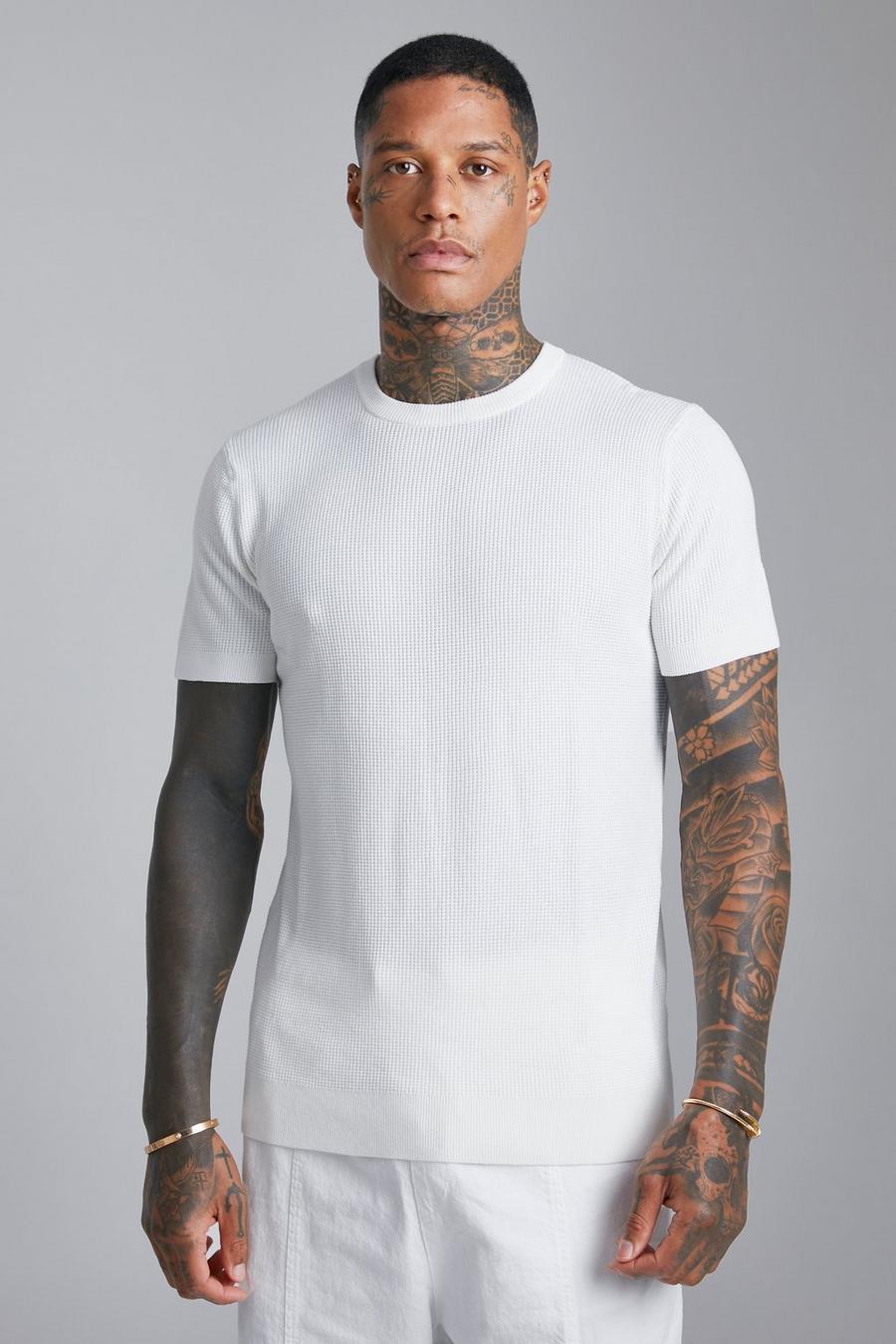 White Textured Crew Neck Knitted T-Shirt image number 1