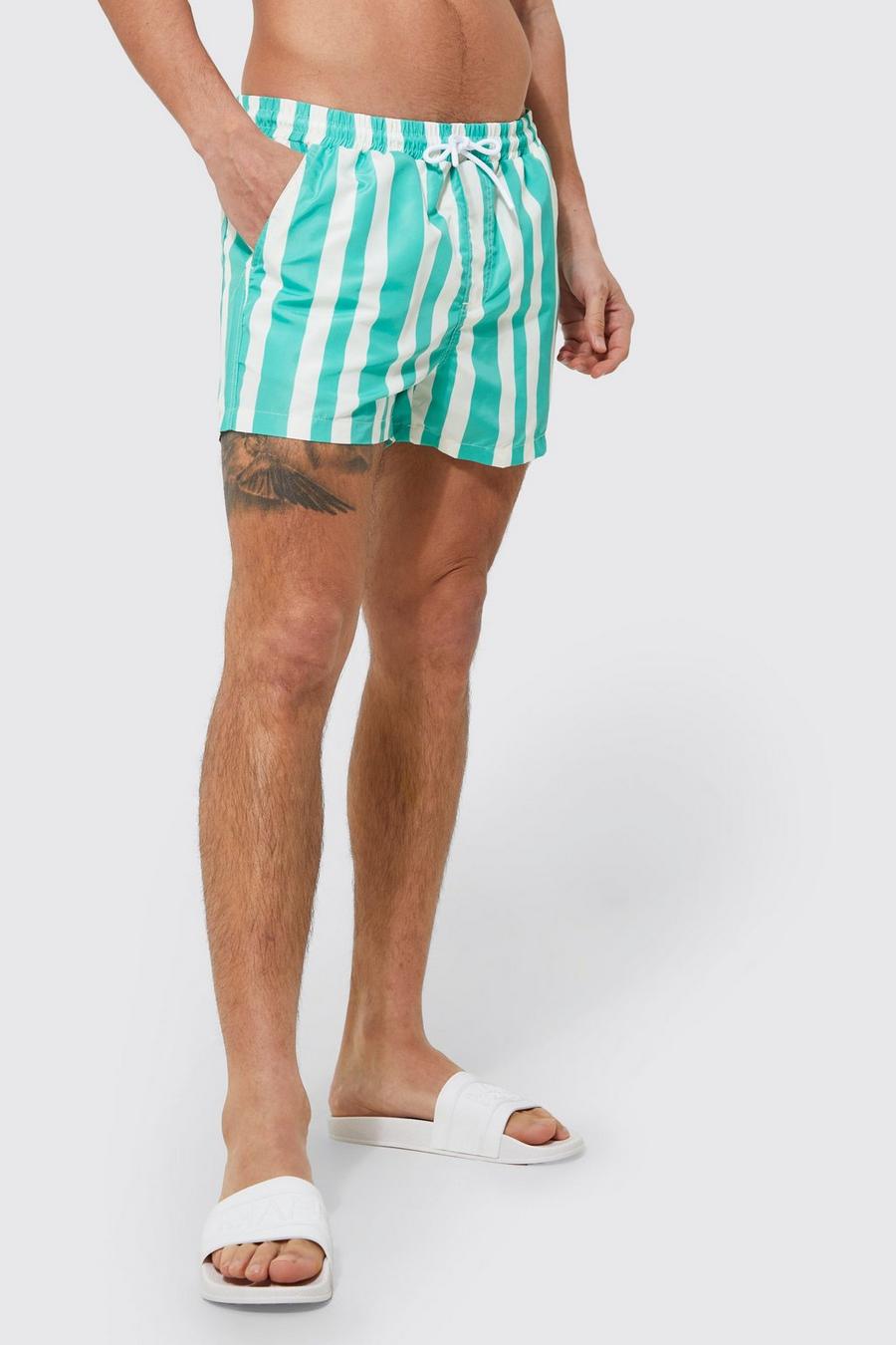 Mint Stripe Short Swim Shorts image number 1