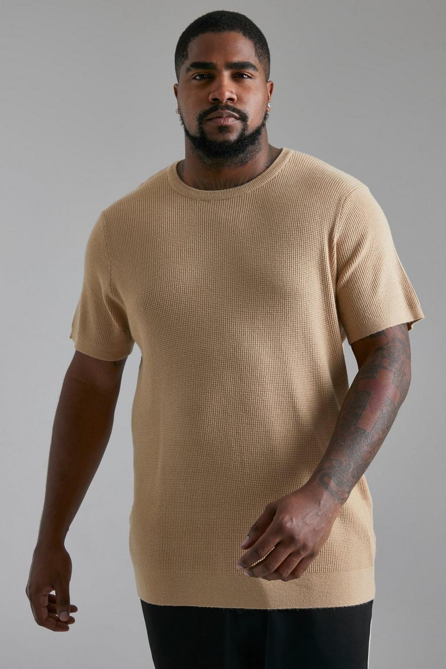 Camel Plus Textured Knitted T-Shirt image number 1