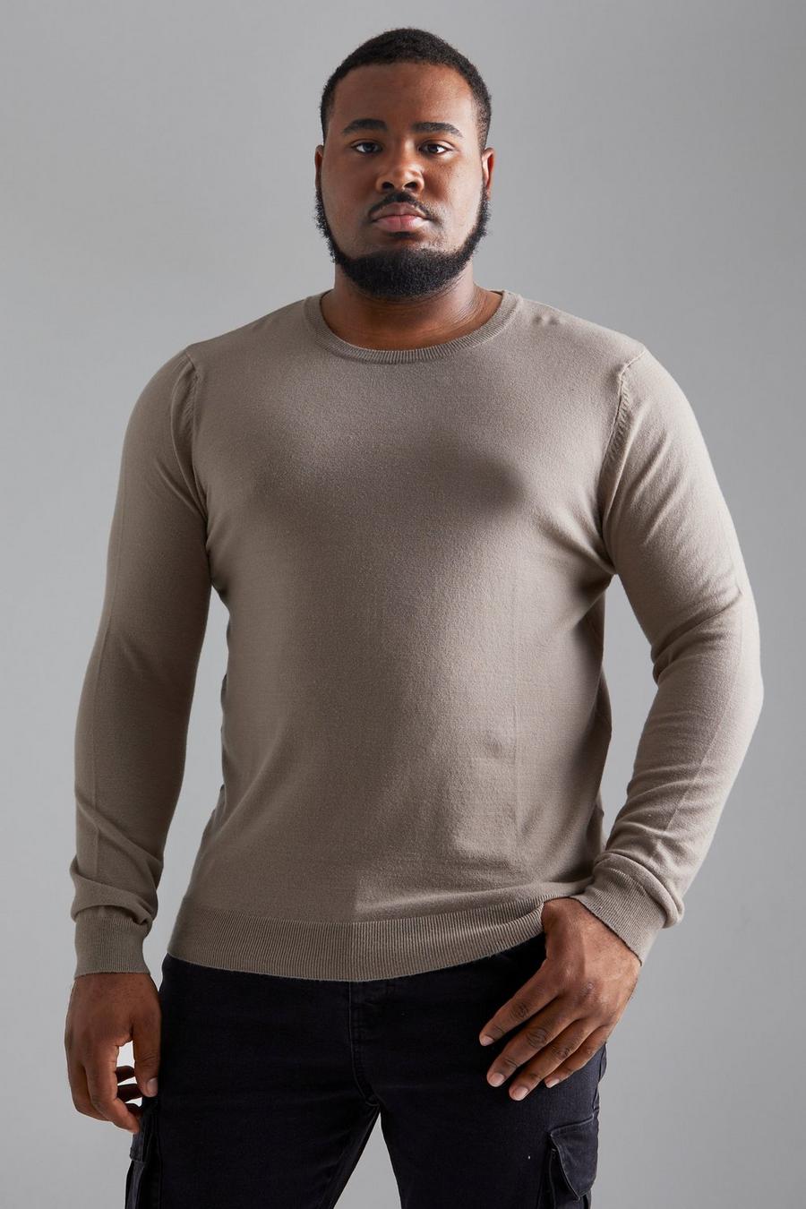 אפור חום beis סוודר בגזרה רגילה עם צווארון עגול, מידות גדולות image number 1