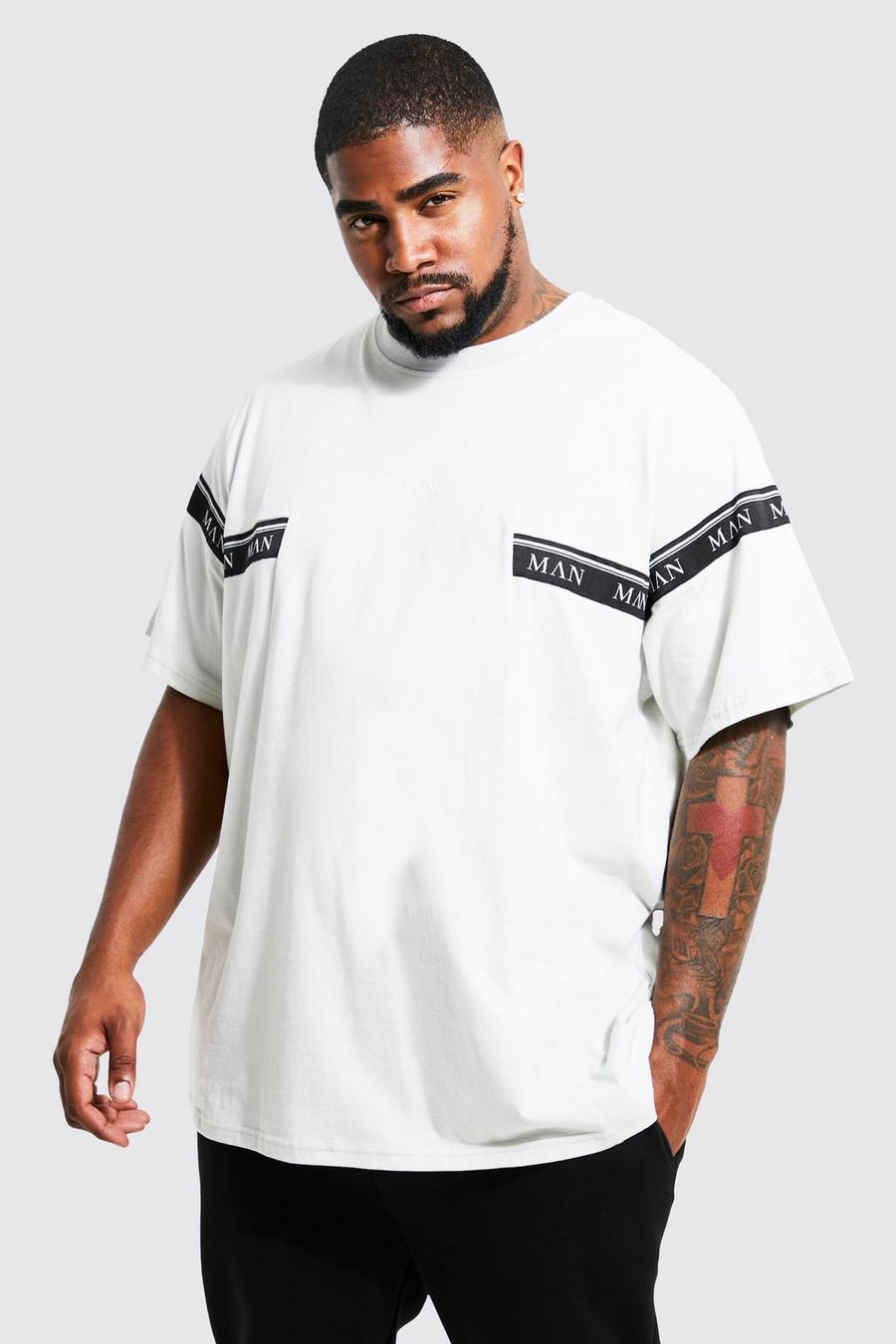 T-shirt Plus Size Man con caratteri romani e striscia, Light grey grigio