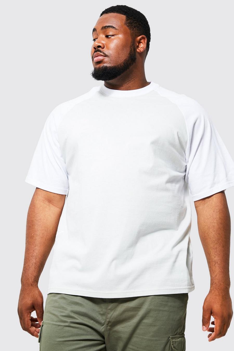 Plus Roman Man Raglan T-Shirt, Light grey image number 1