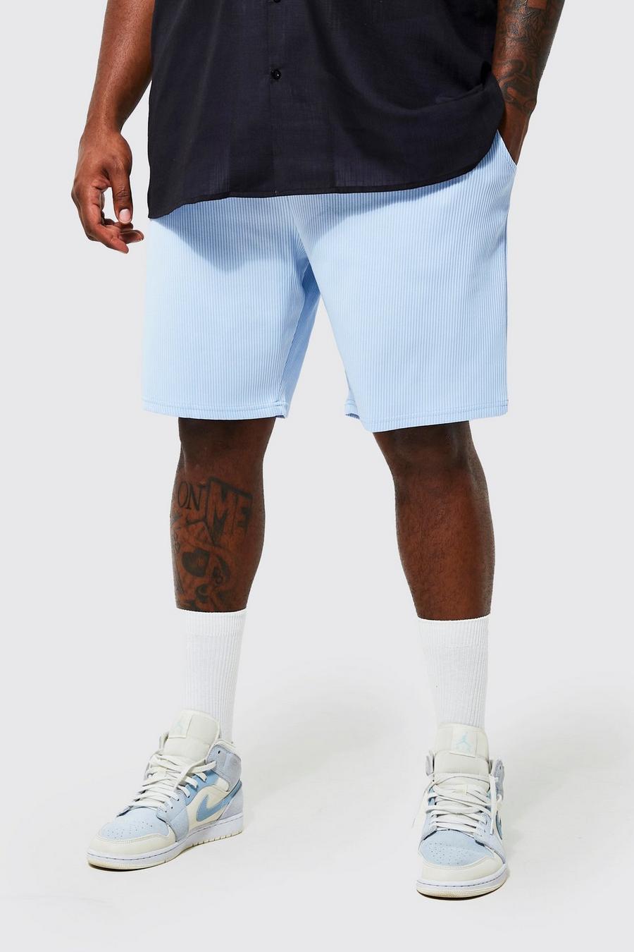 Pale blue Plus Slim Fit Pleated Pocket Shorts image number 1